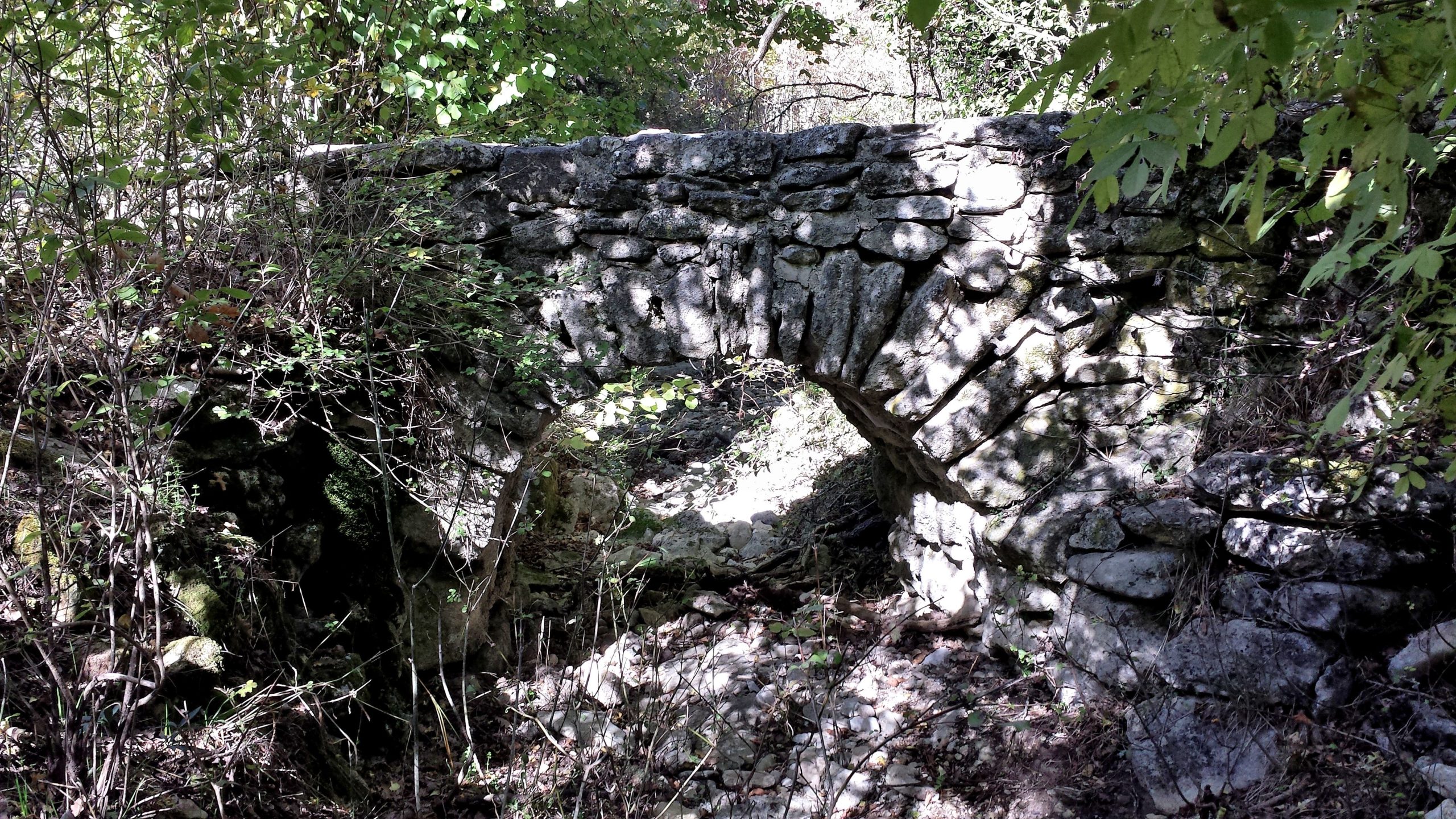 Atelier in situ - Découverte de la forêt de Sivergues