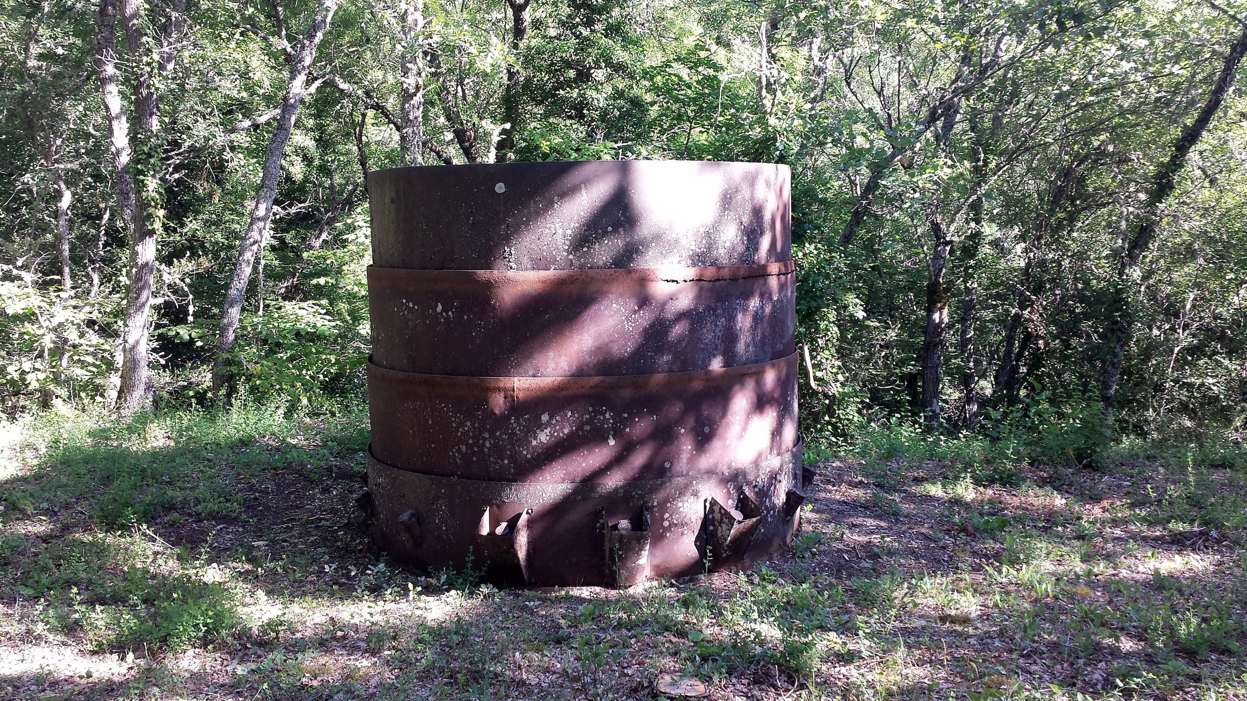 Atelier in situ - Découverte de la forêt de Sivergues