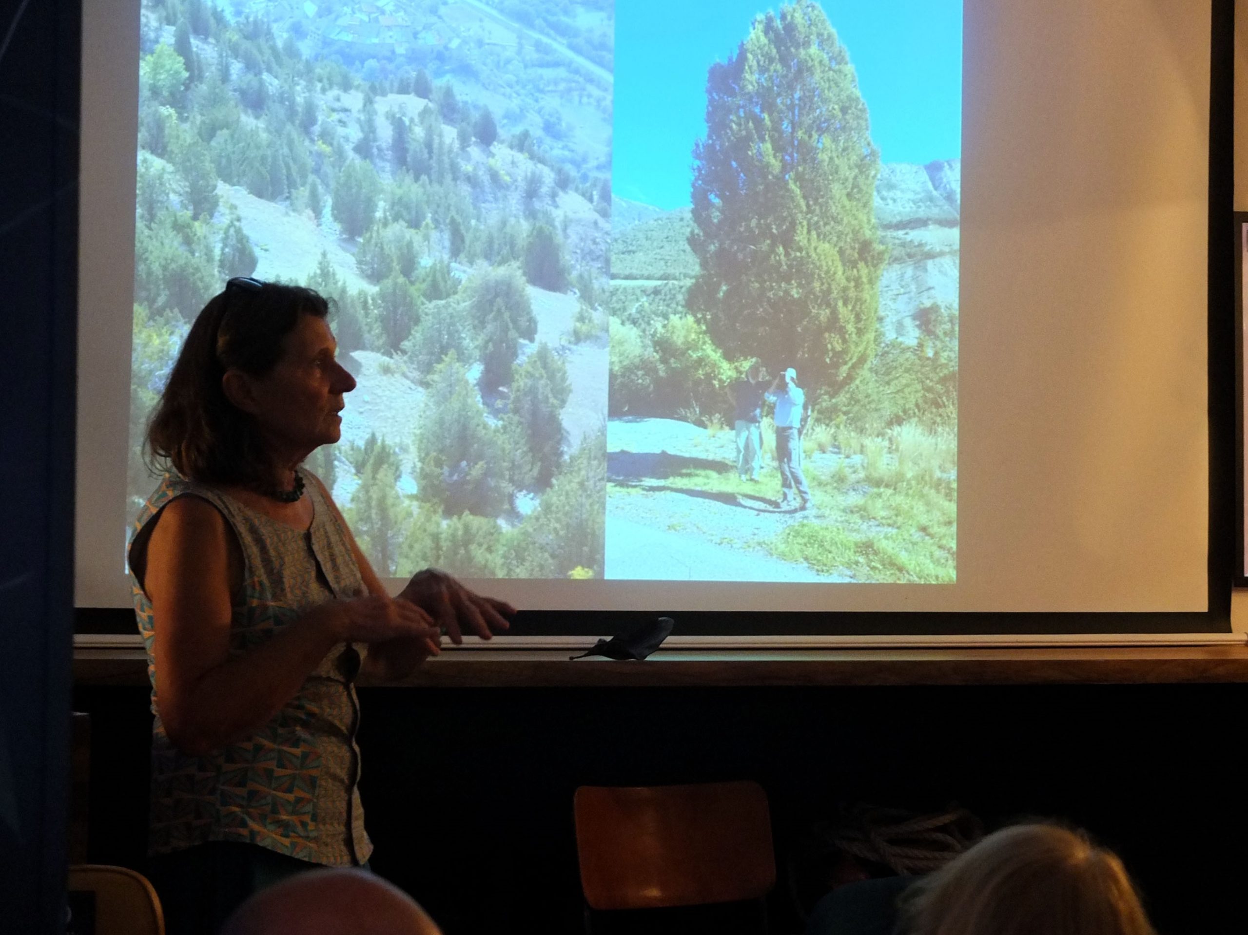 Conférences Femmes et paysage - Laurence Chaber